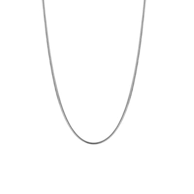 Snake bone chain titanium necklace OR3009 - ORUN